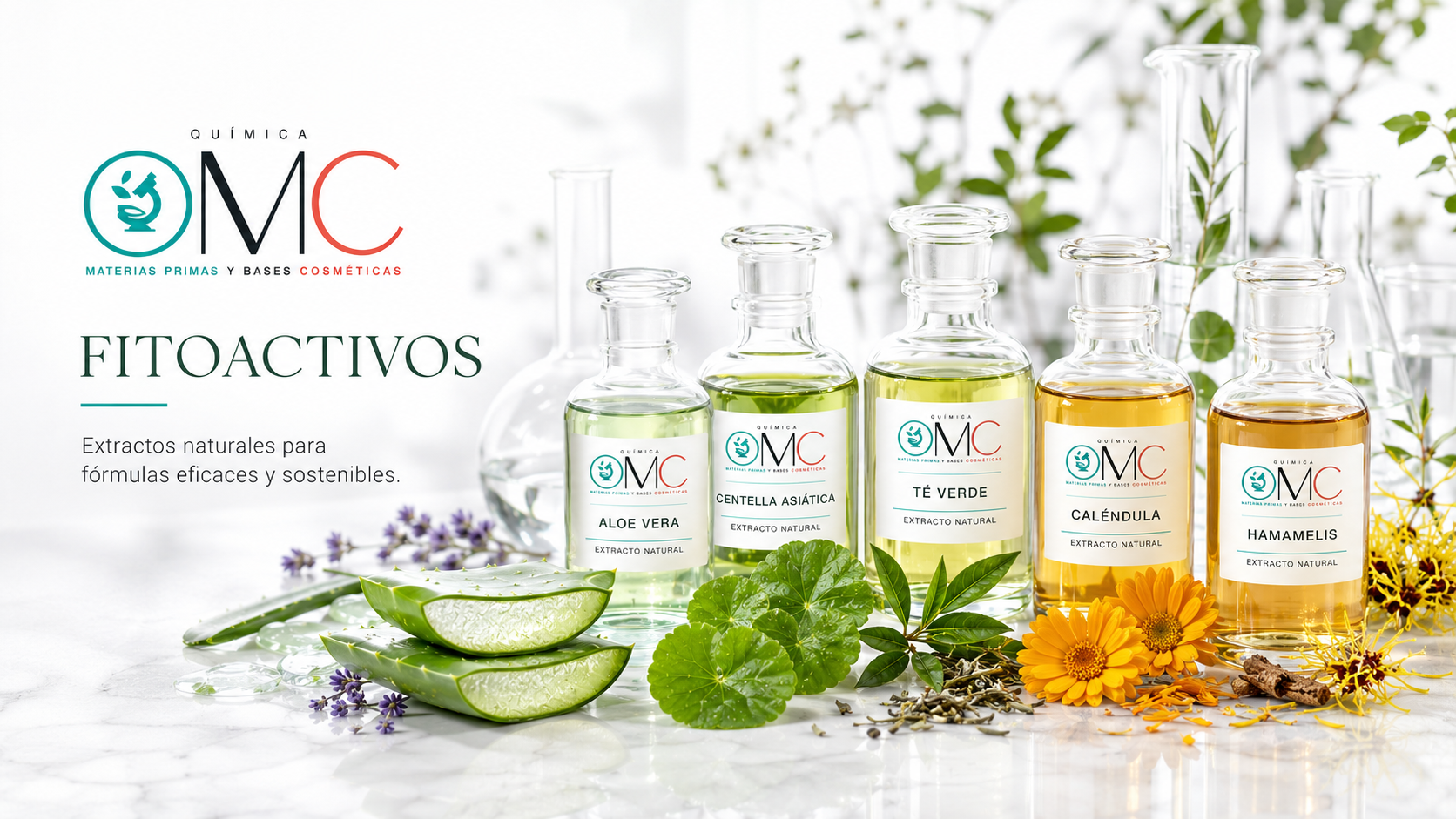 Fitoactivos cosméticos Química OMC de origen botánico